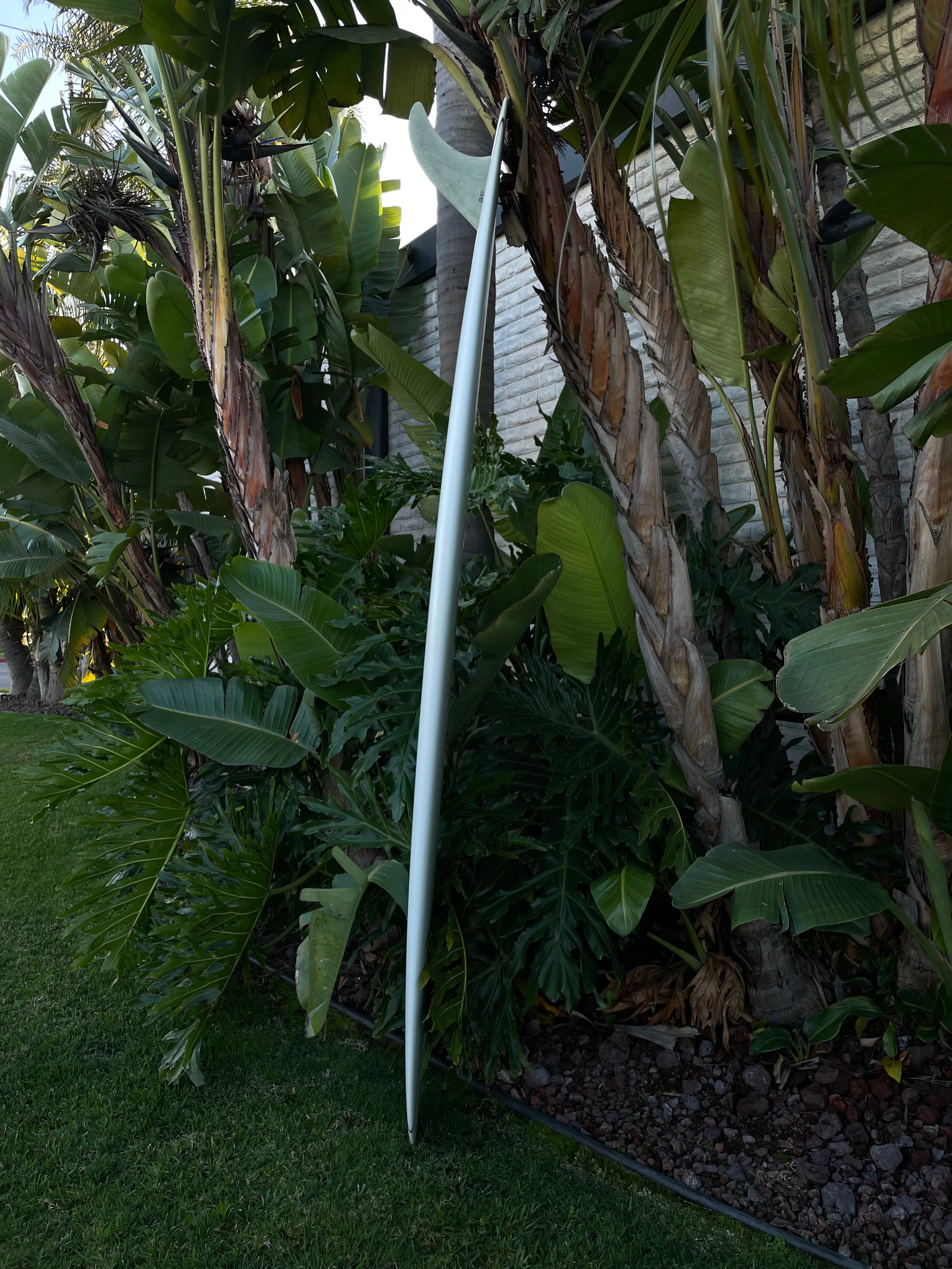 9'6" Jesse Guglielmana Low Log