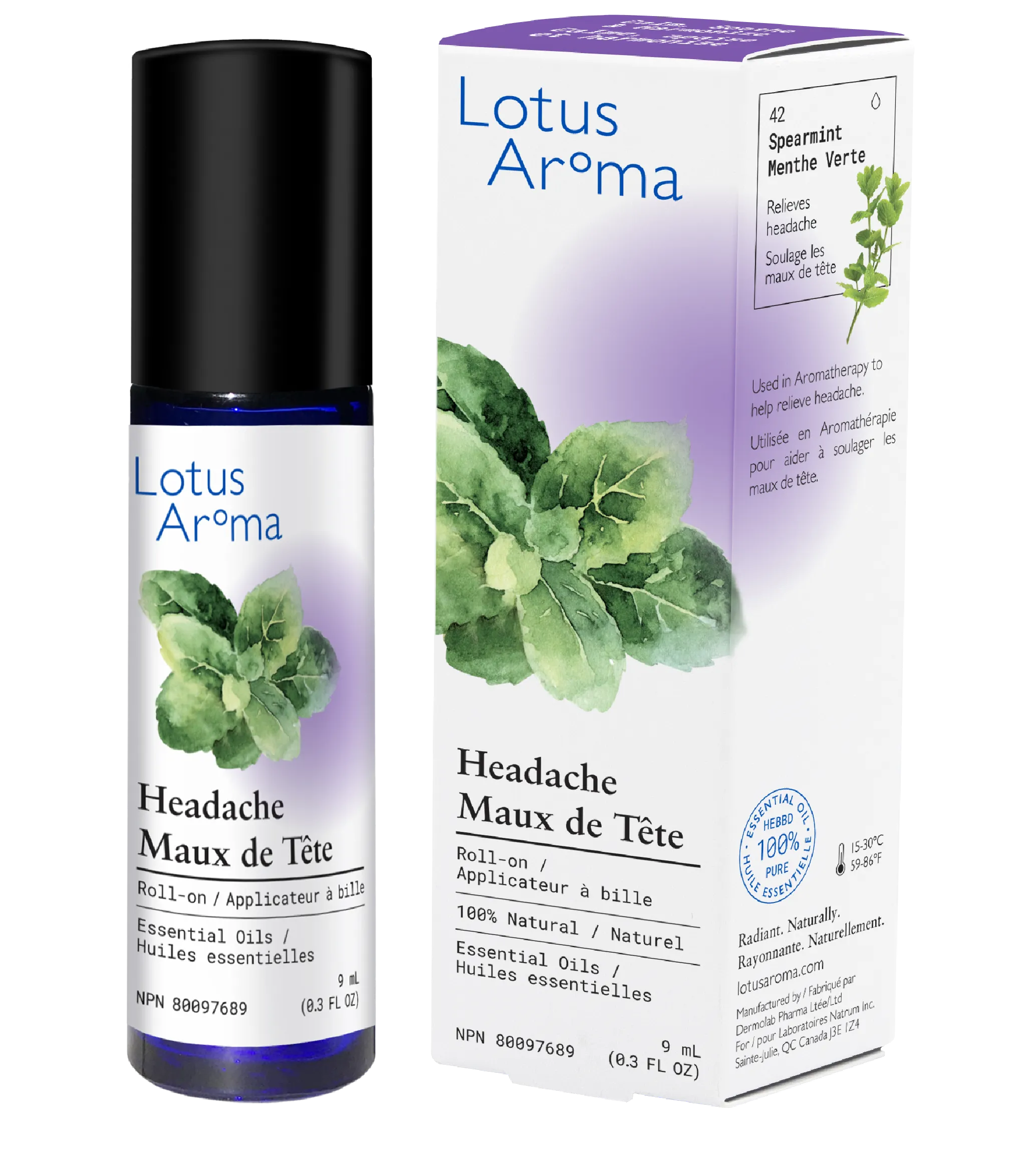 Aromatherapy Set