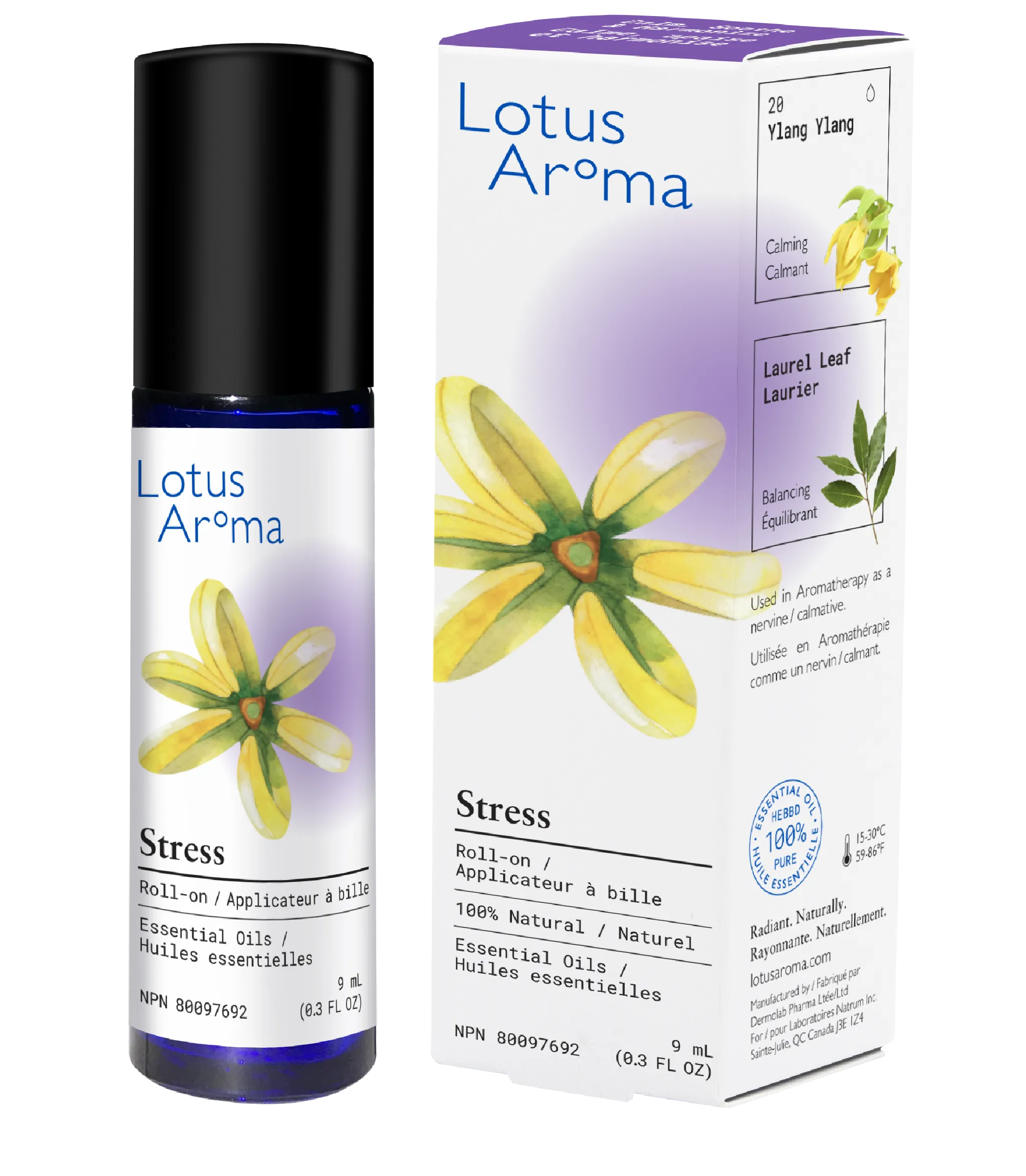 Aromatherapy Set