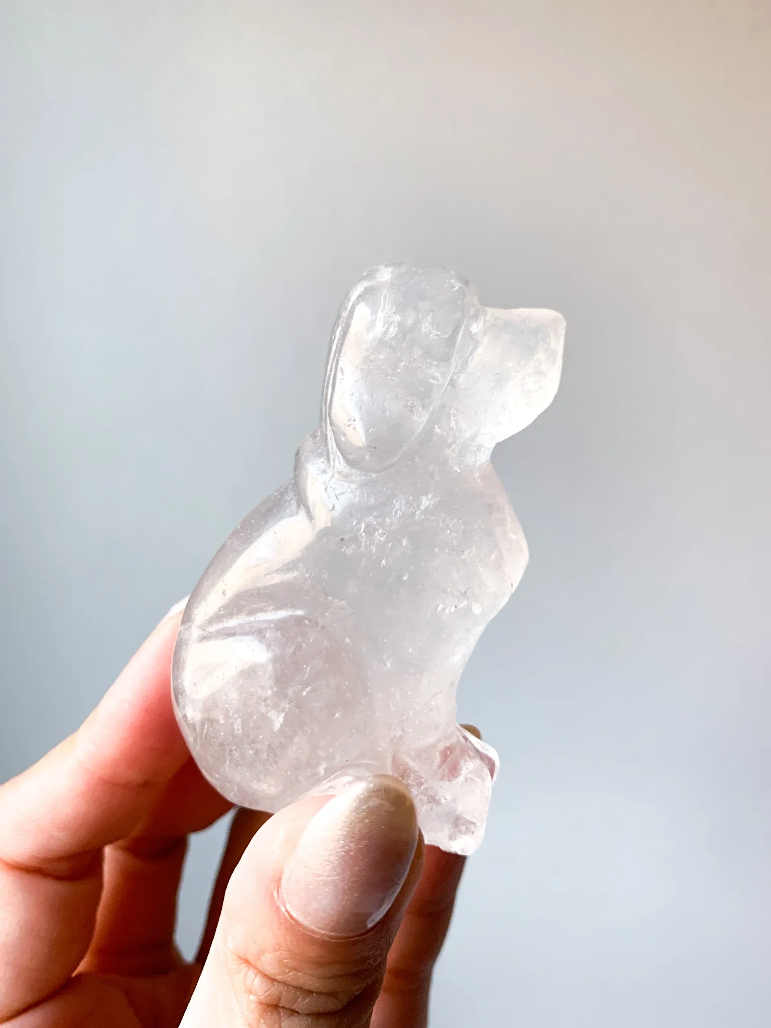 Clear Quartz Puppy