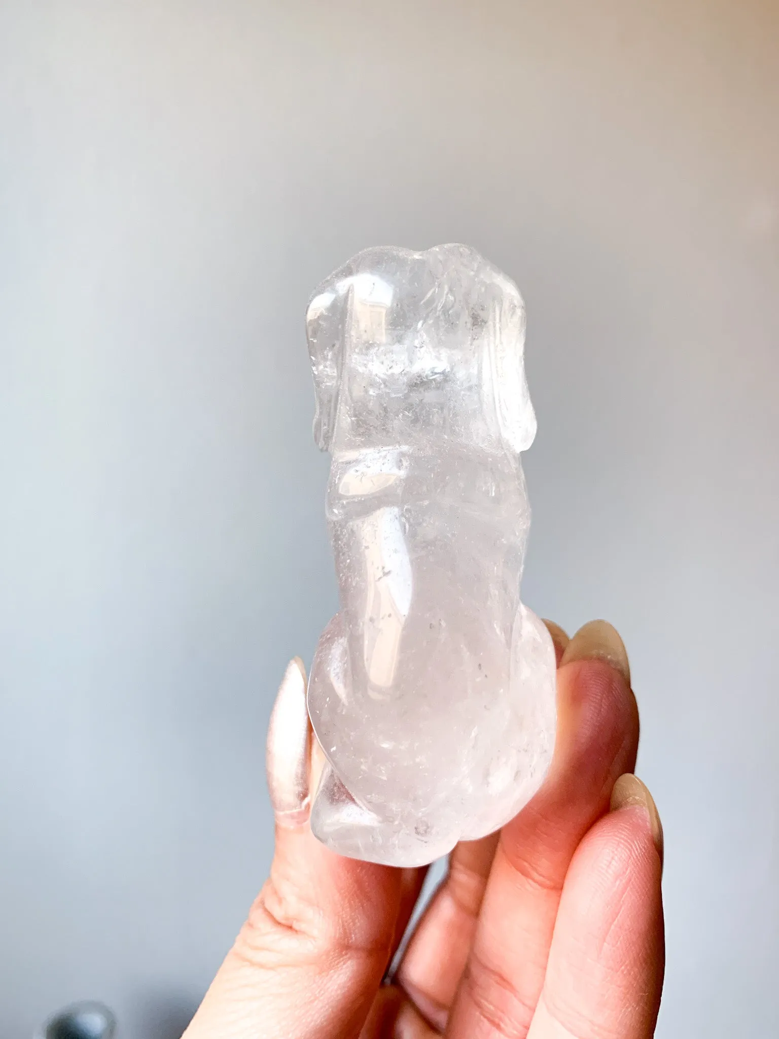 Clear Quartz Puppy