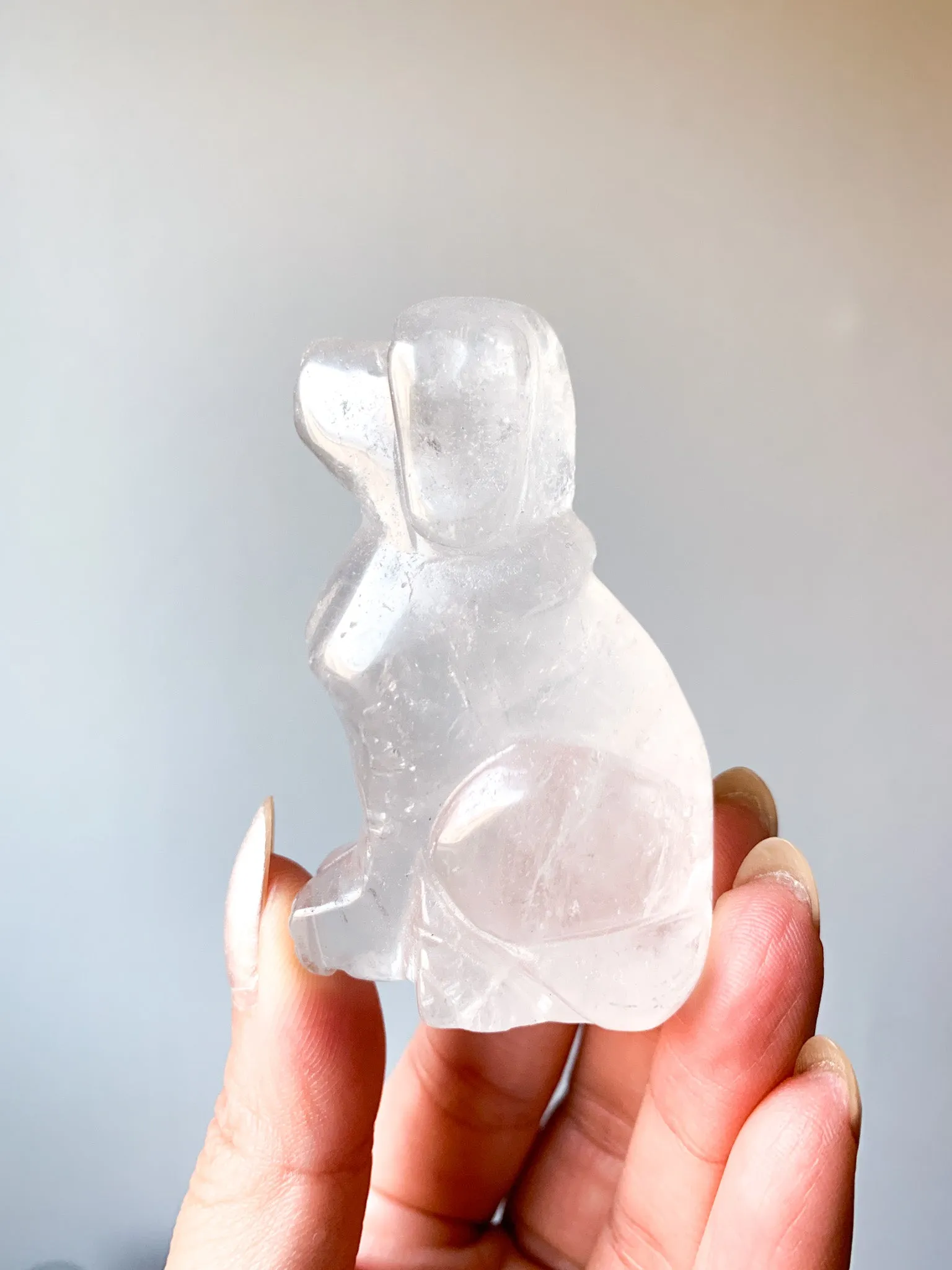 Clear Quartz Puppy