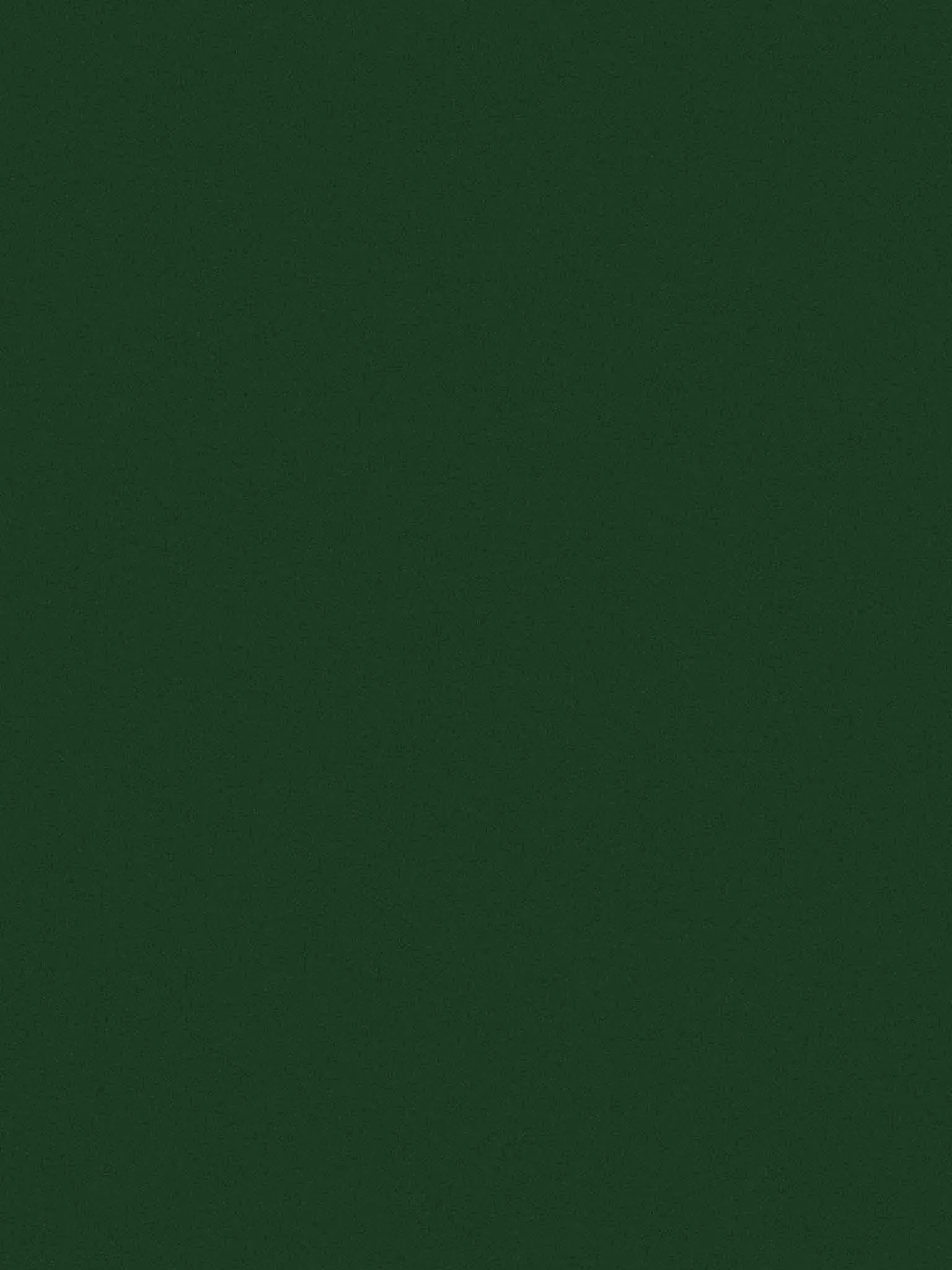 Dark Green Legging Kids