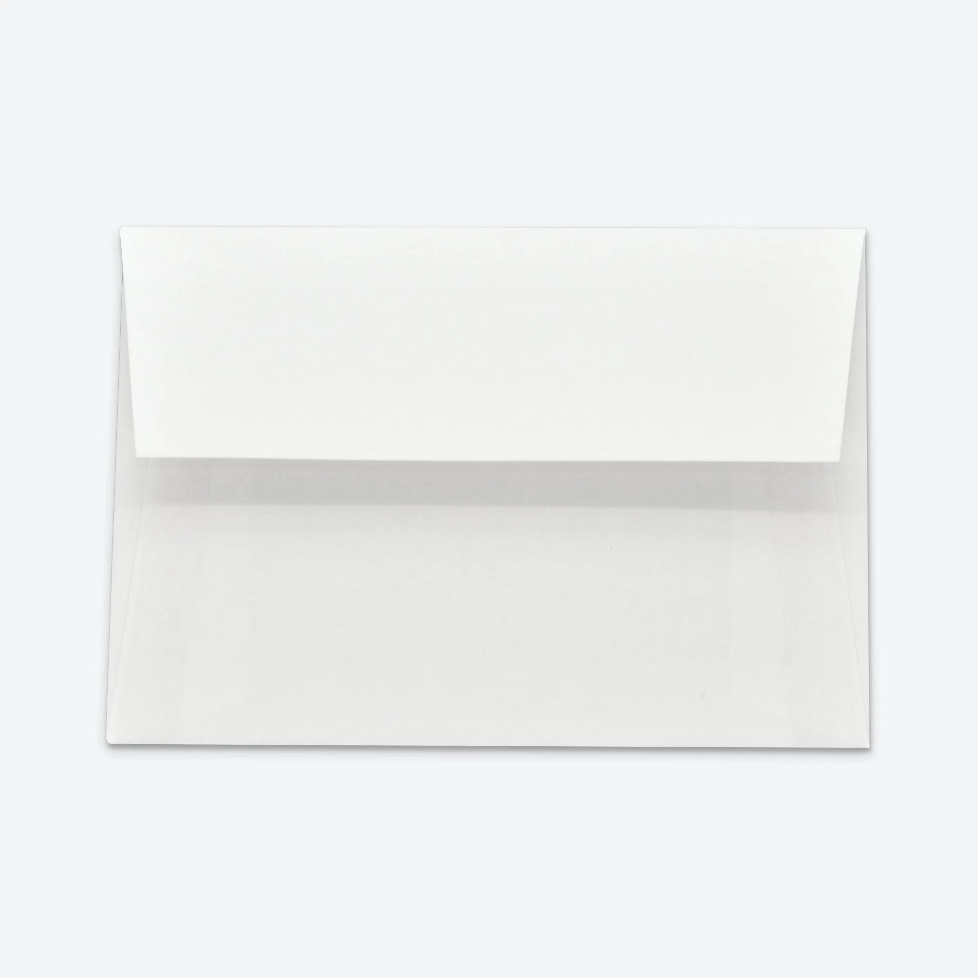 Flat Notecard Watercolour Animals set - Top