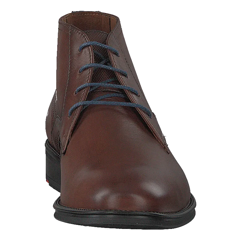 Gabun Tobacco/midnight