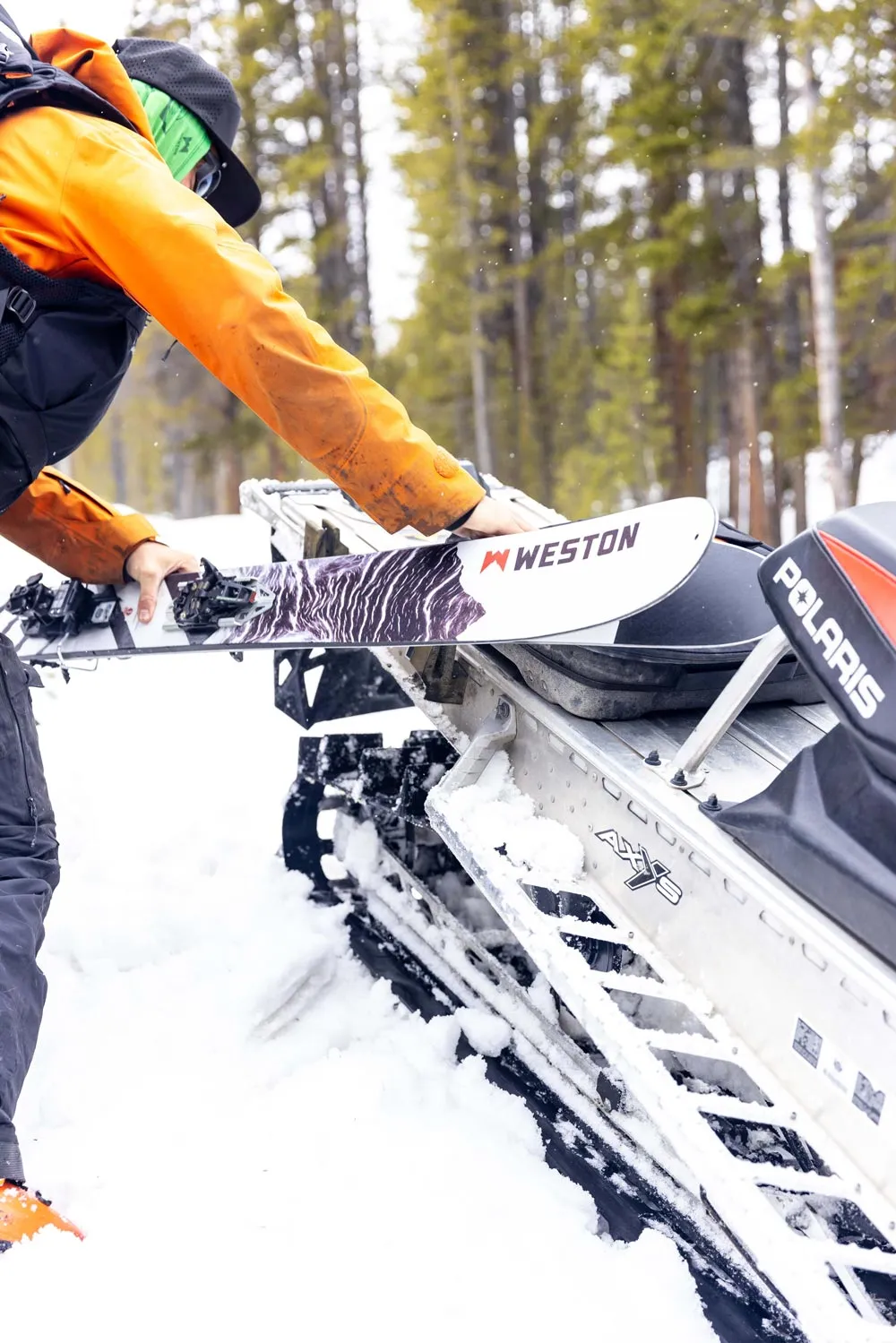 Grizzly 118