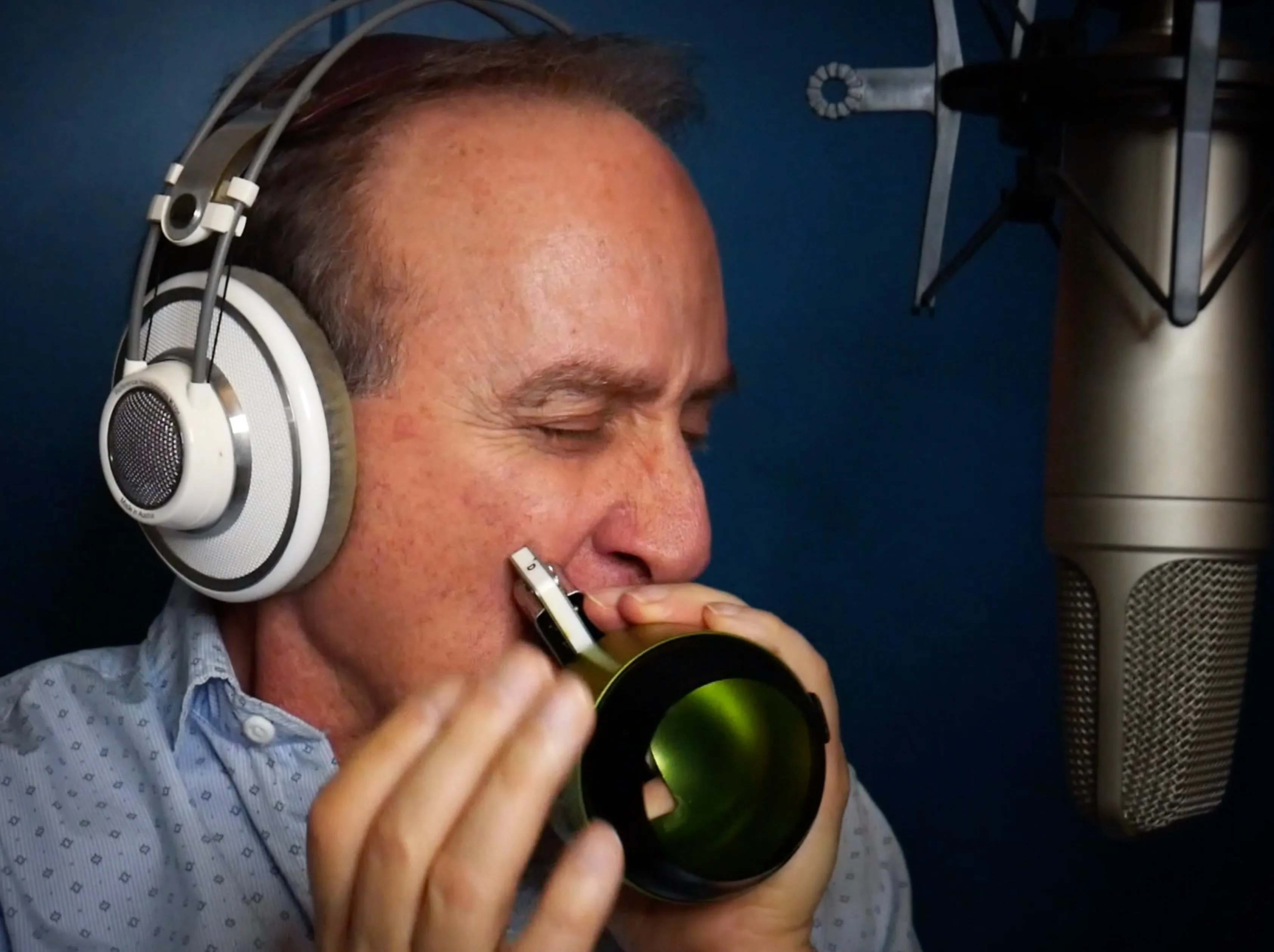Harp Wah - Harmonica Mute