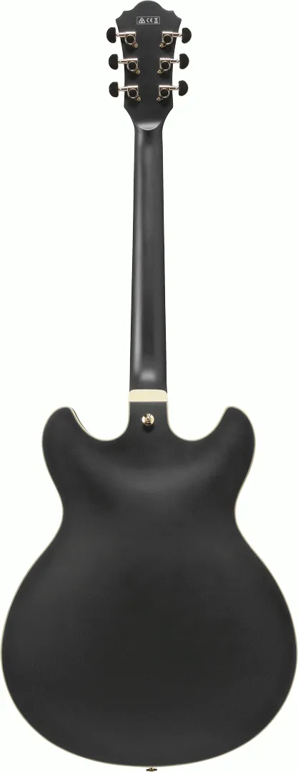 Ibanez AS73G BKF Electric Guitar