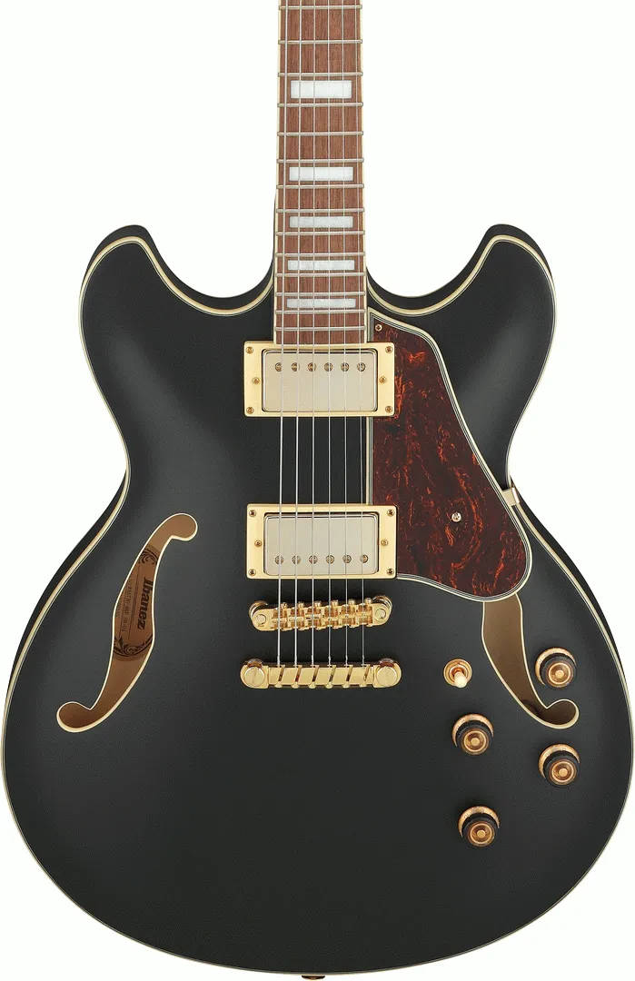 Ibanez AS73G BKF Electric Guitar