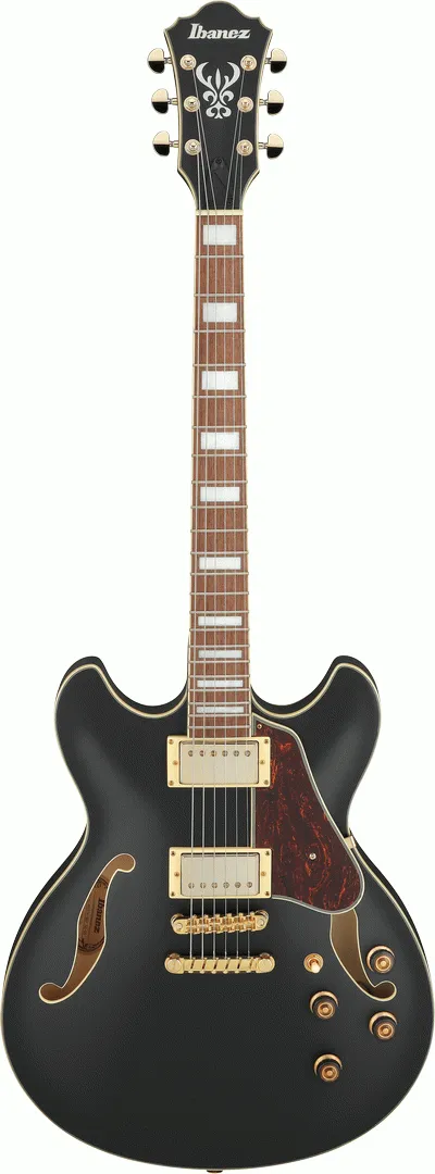 Ibanez AS73G BKF Electric Guitar