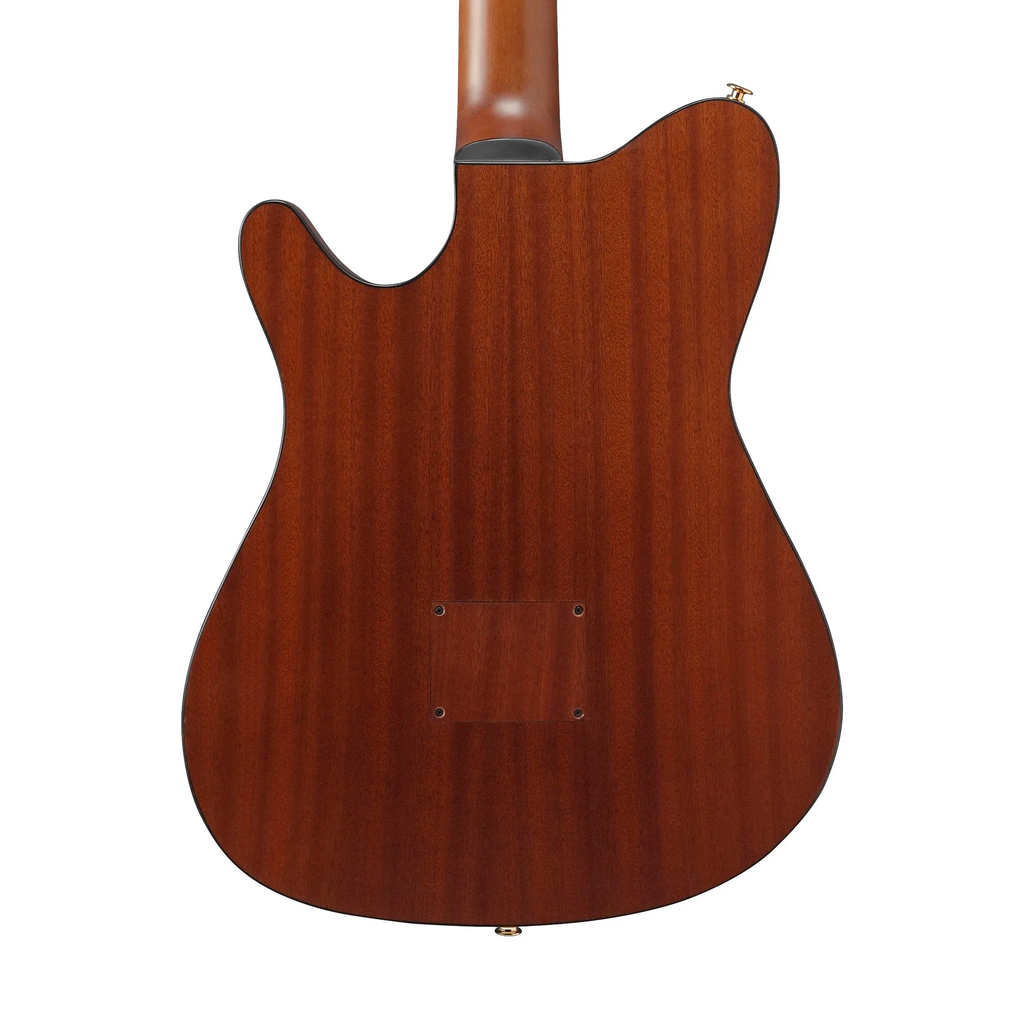 Ibanez FRH10N-BSF Acoustic-Electric Guitar, Brown Sunburst Flat