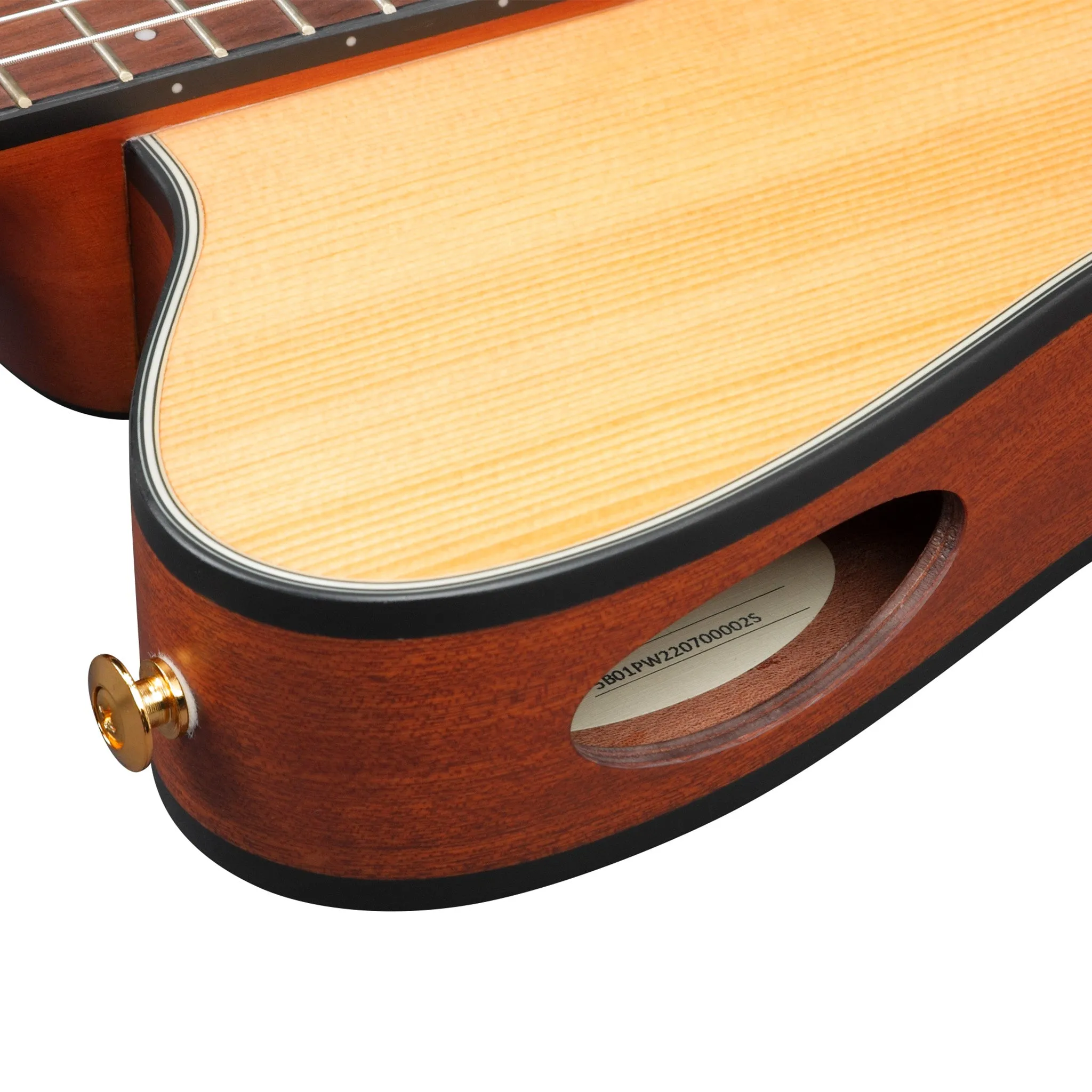 Ibanez FRH10N-NTF Acoustic-Electric Guitar, Natural Flat