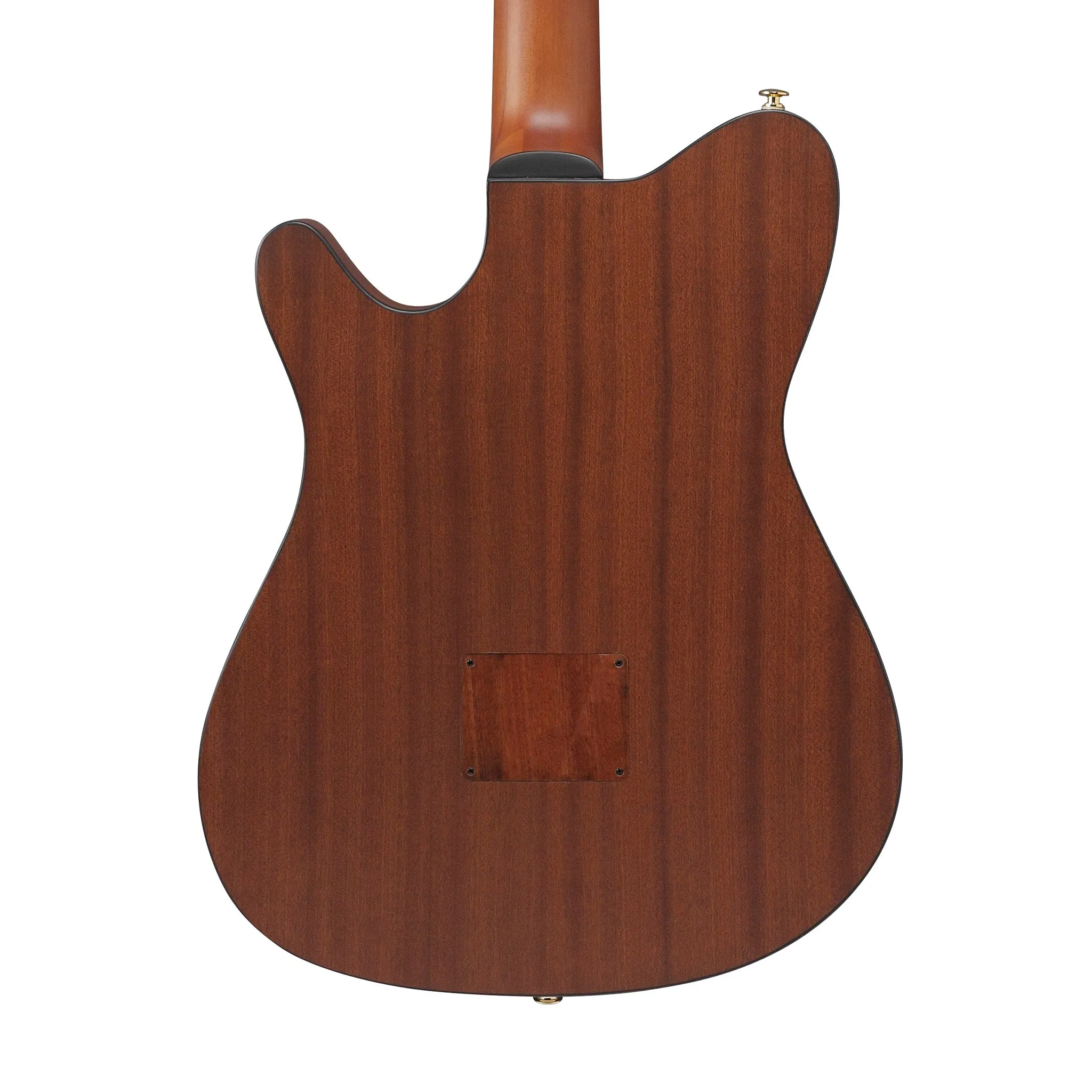 Ibanez FRH10N-NTF Acoustic-Electric Guitar, Natural Flat