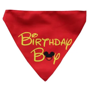 Lana Paws Birthday Boy Adjustable Dog Bandana/Scarf, Red and Yellow