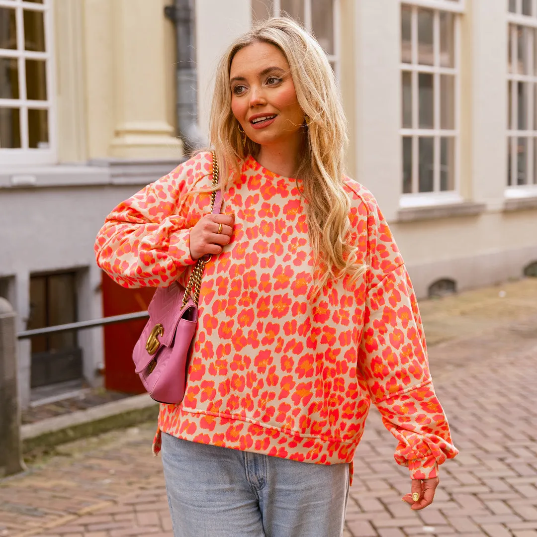 Leo sweater beige roze