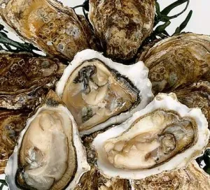 Nanaimo The Cod Squad Fish and Chips Oysters