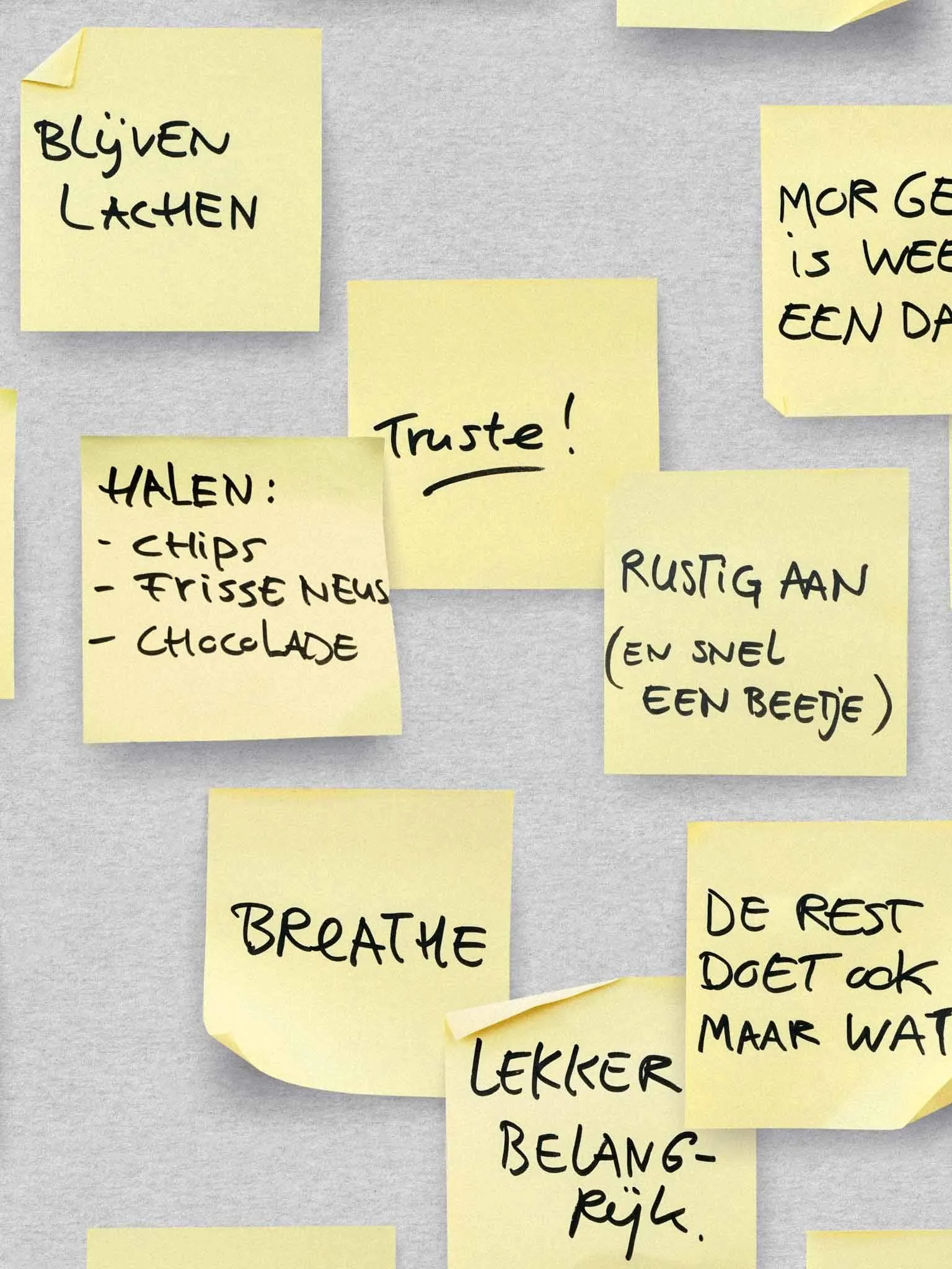 Note To Self Broek Dames