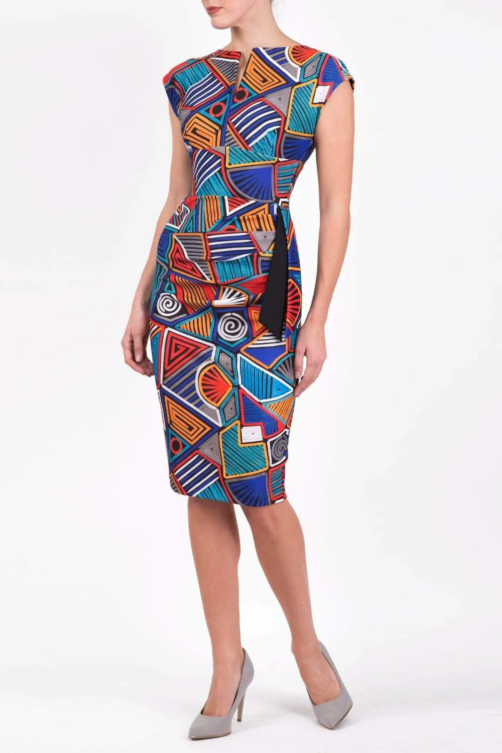 Ogle Print Dress