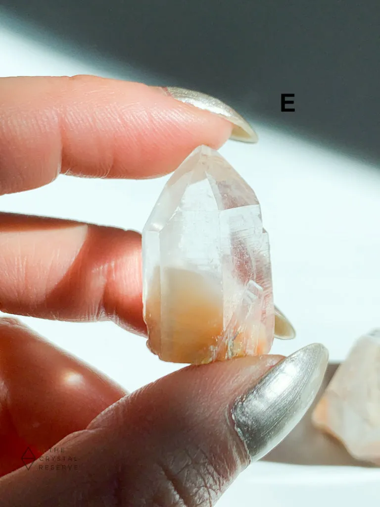 Orange Amphibole Quartz Mini Points