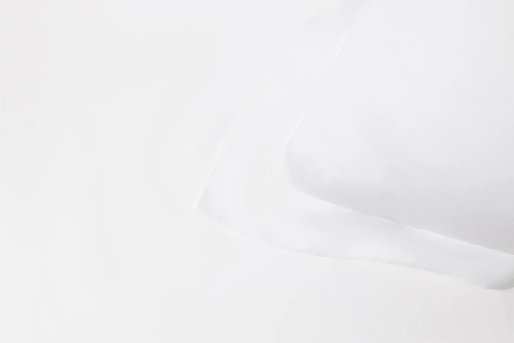 Organic Eucalyptus Silk Pillowcases | Multiple Colours
