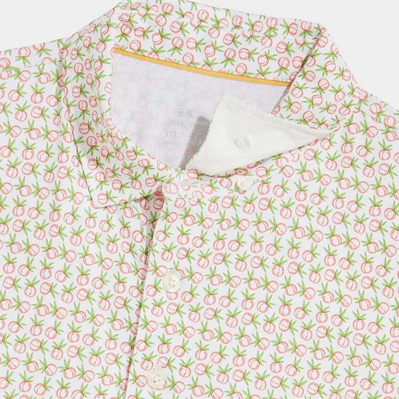 Palmero Polo