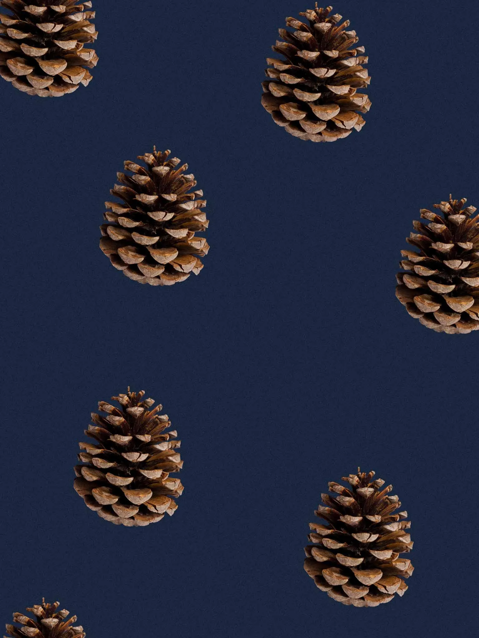 Pinecones Sweater Heren