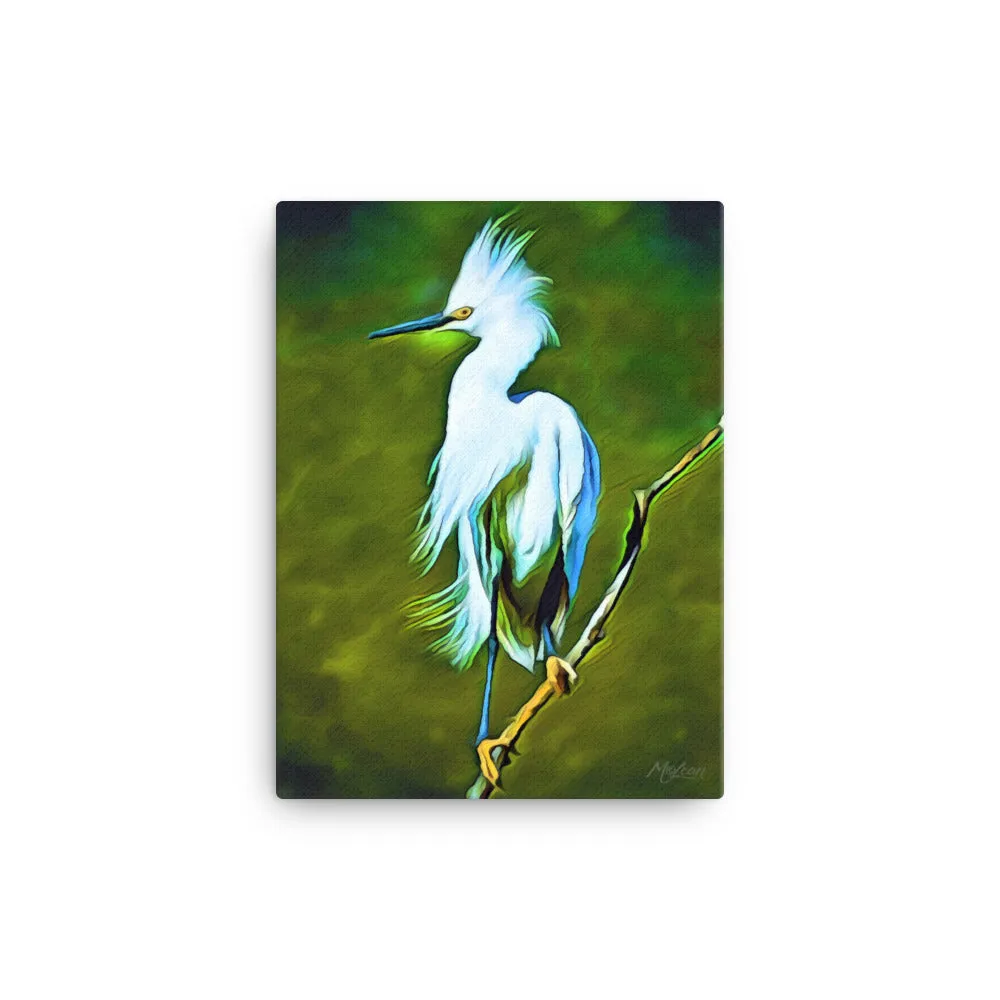 Plume