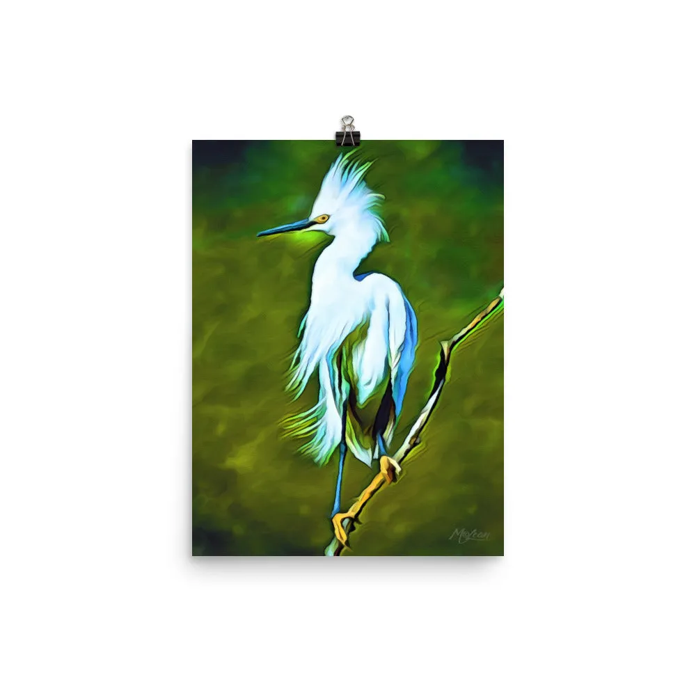 Plume