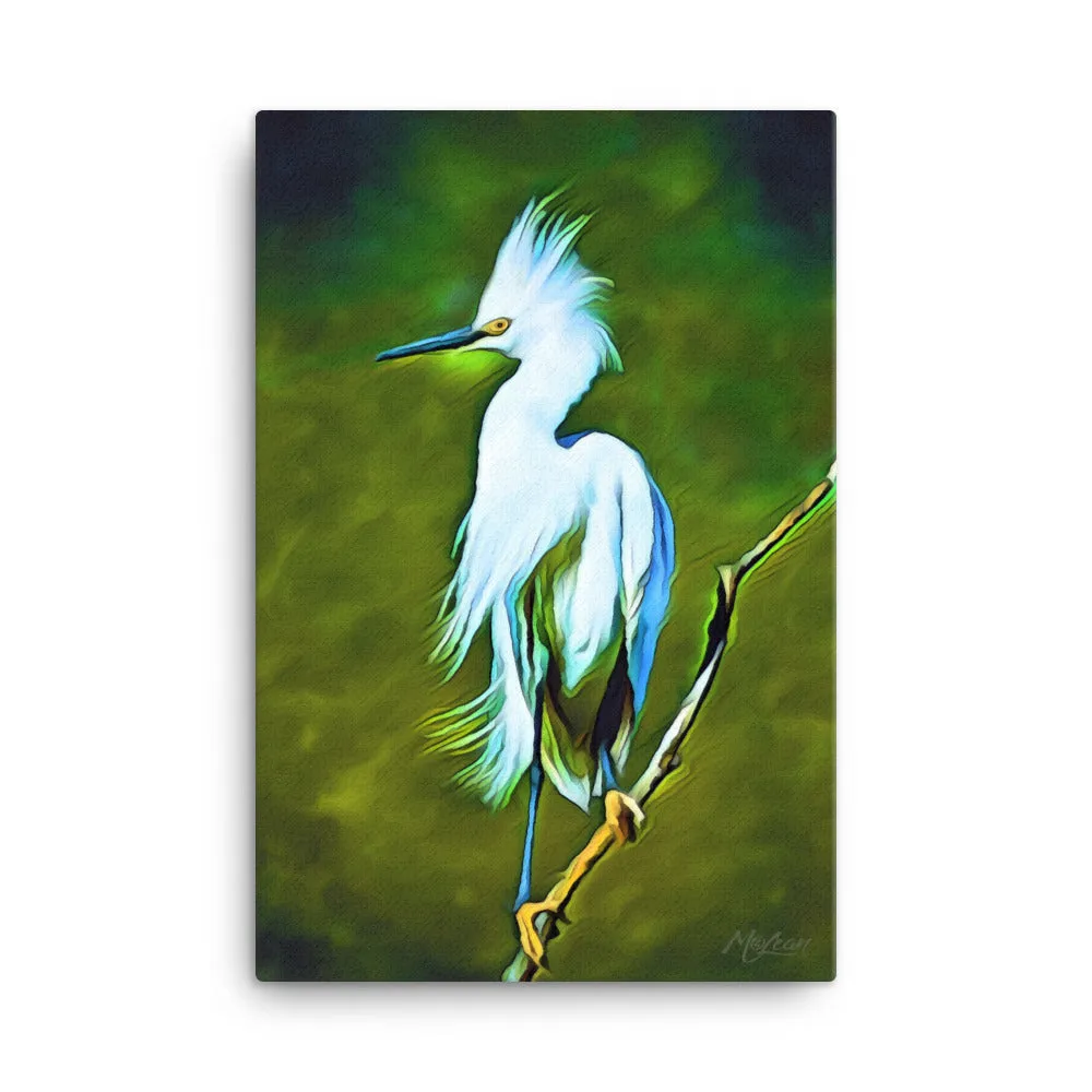 Plume