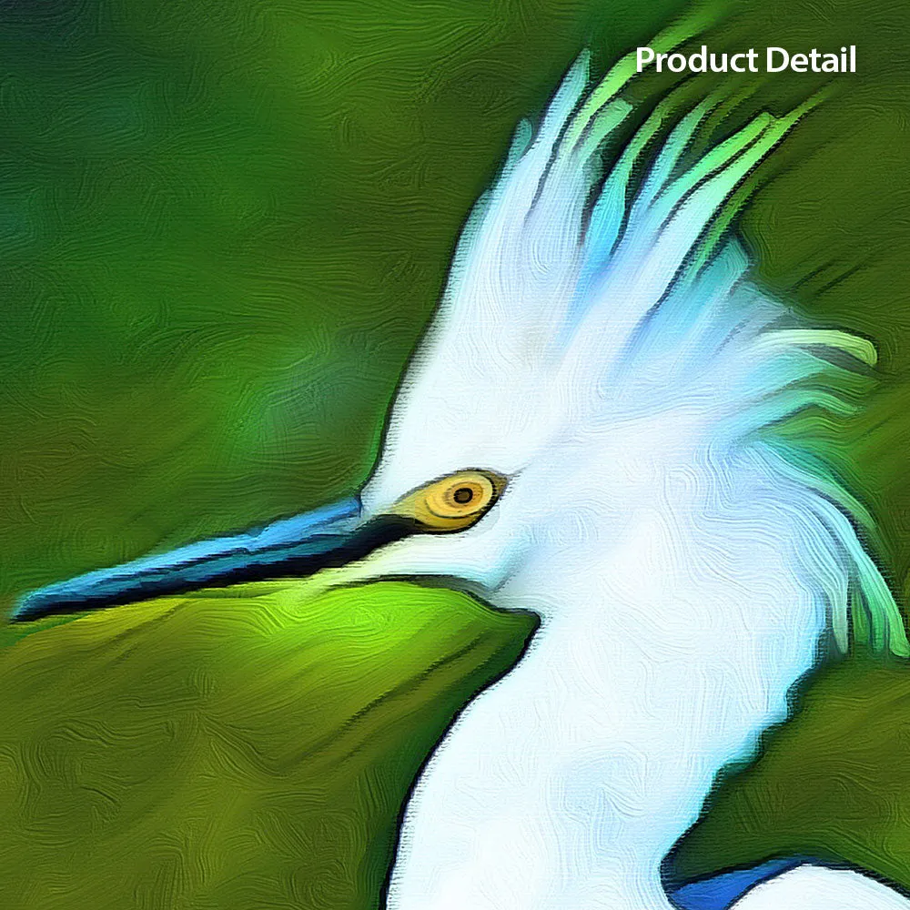 Plume