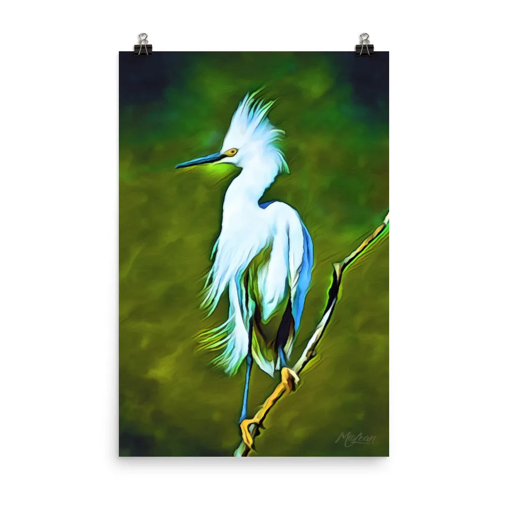 Plume