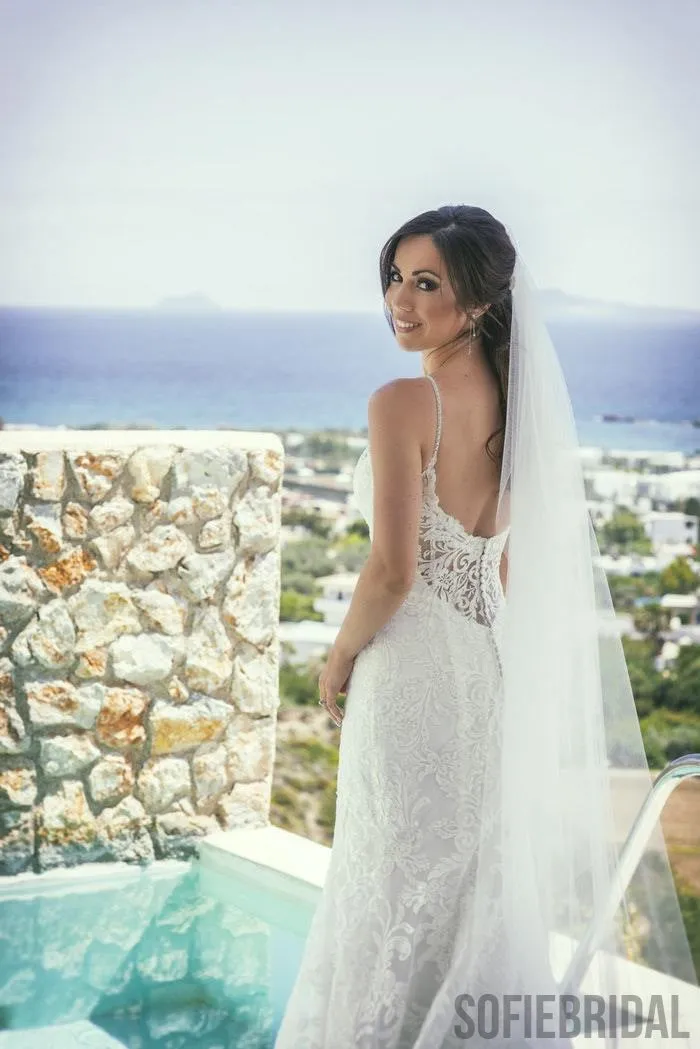 Straghetti Straps Deep V-neck Backless Lace Wedding Dresses, WD0470