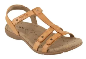 Taos Trophy 2 Honey Leather