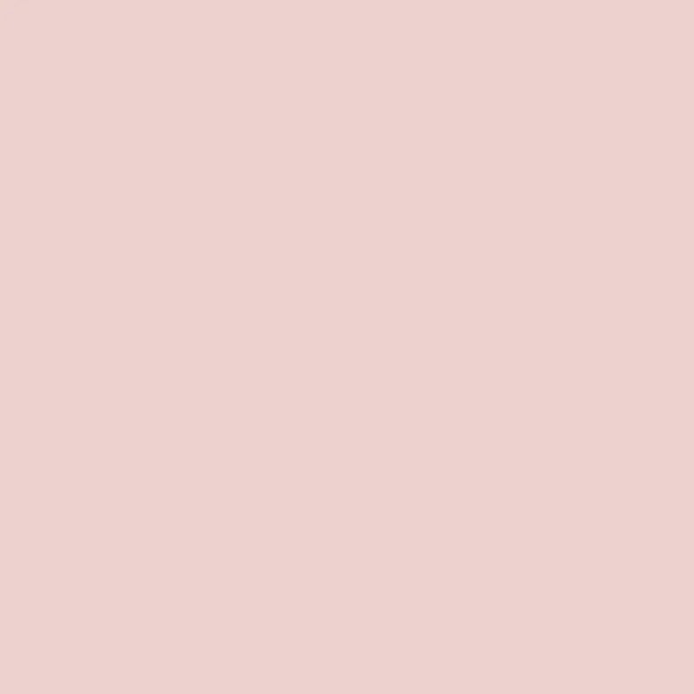 The Midi Double Door Locker Cabinet (Blush)