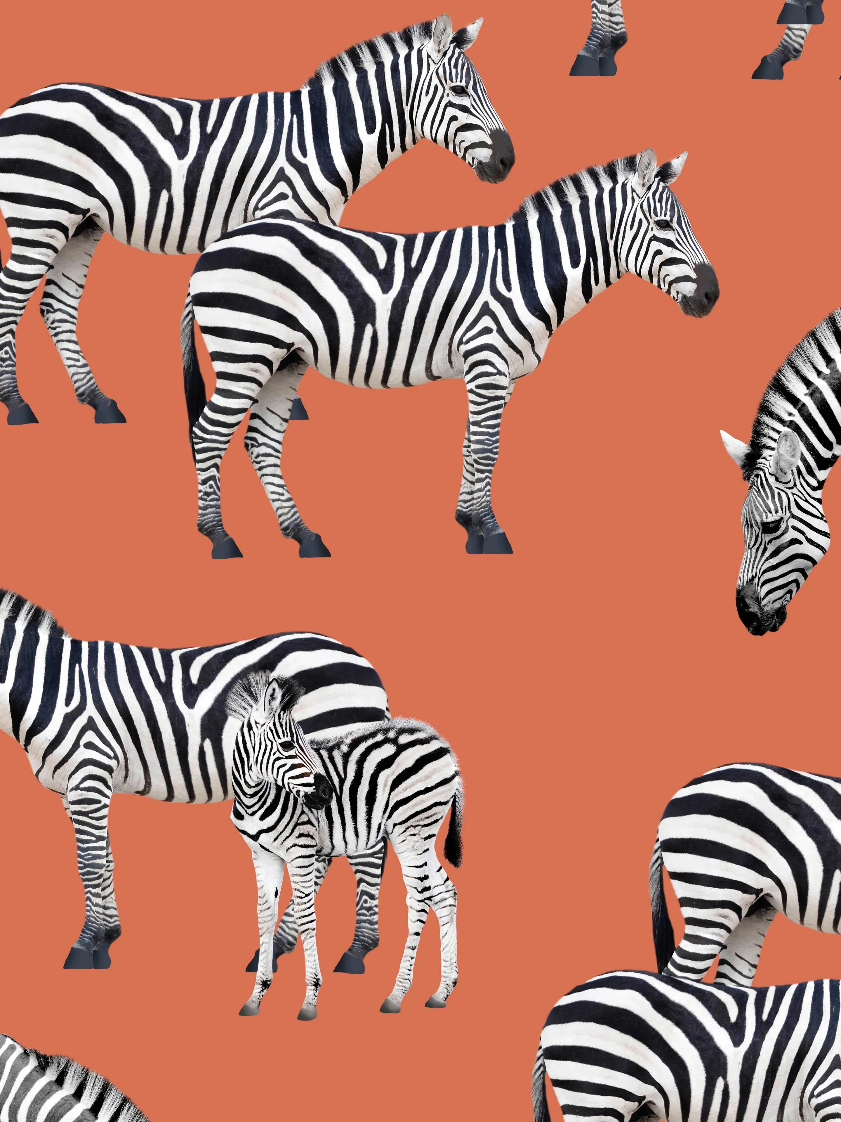 Zebras Jurkje Dames