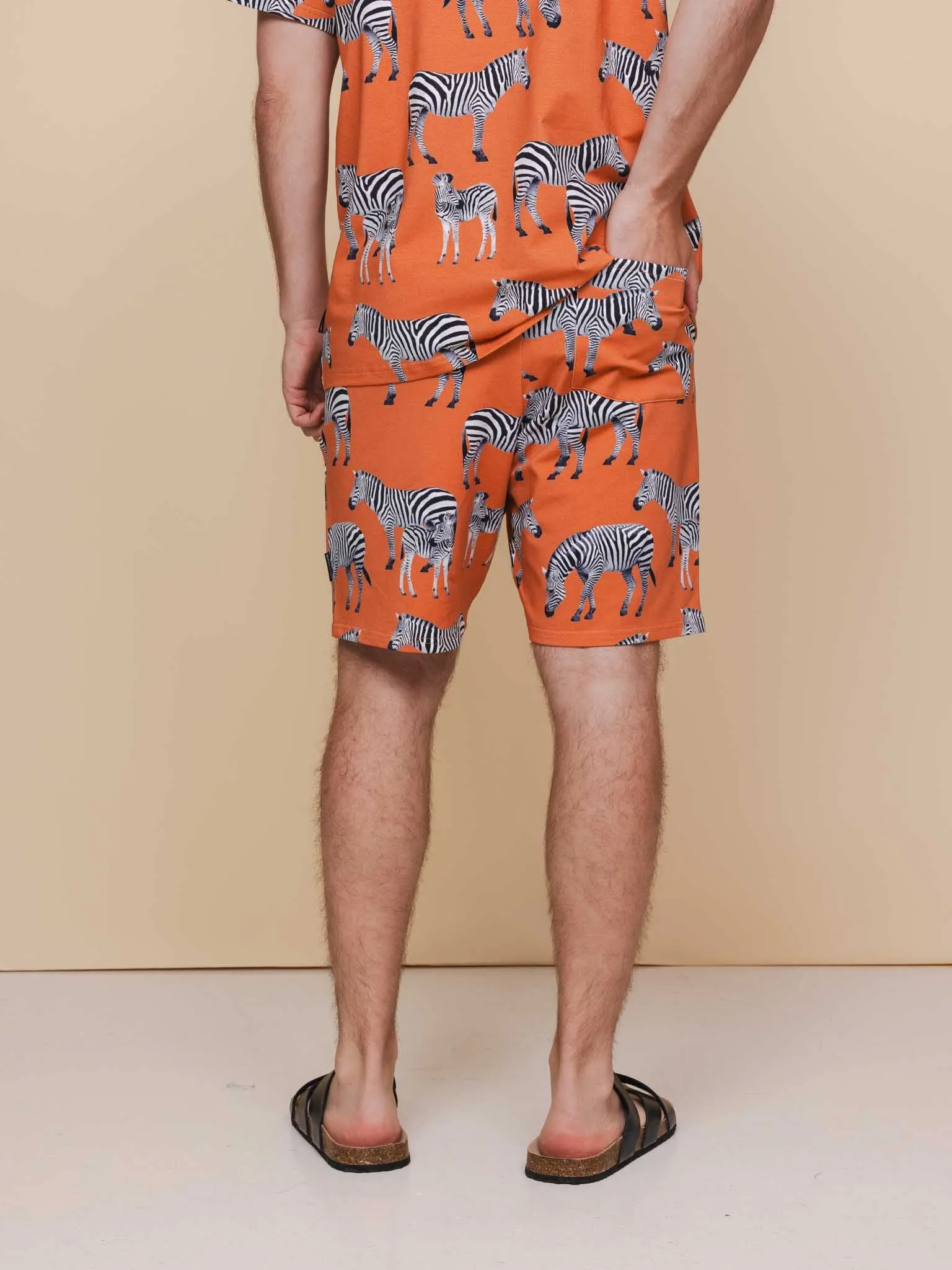 Zebras T-shirt en Shorts set Heren