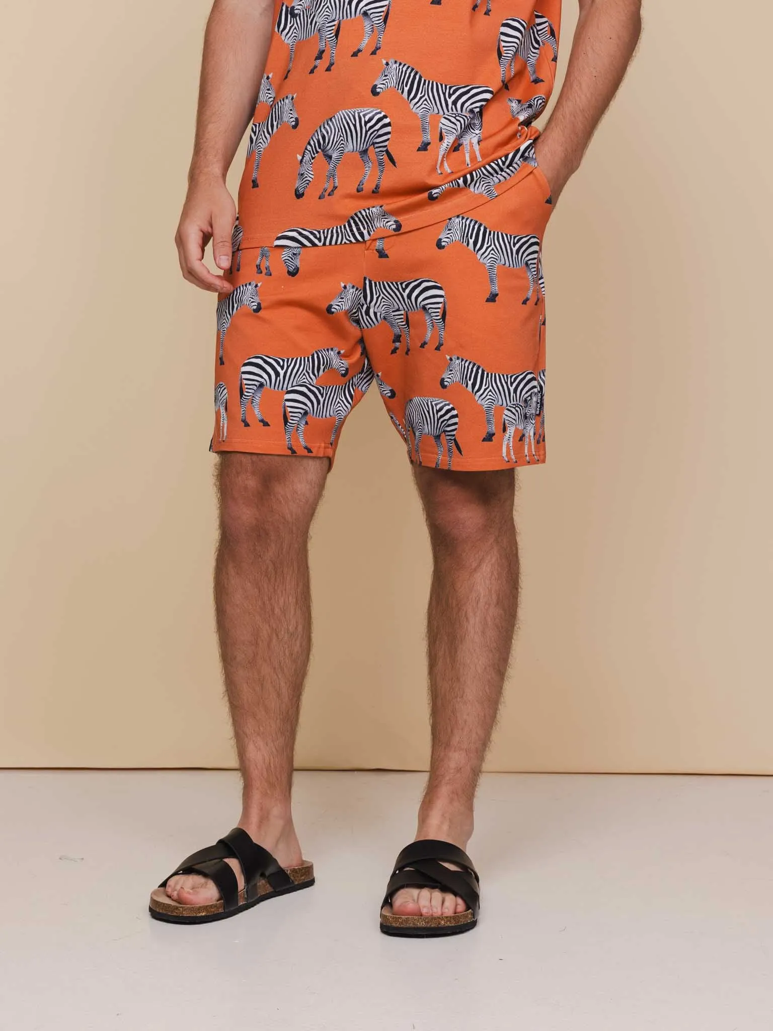 Zebras T-shirt en Shorts set Heren